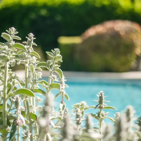 Le Refuge Provencal Nijonyas Holiday home